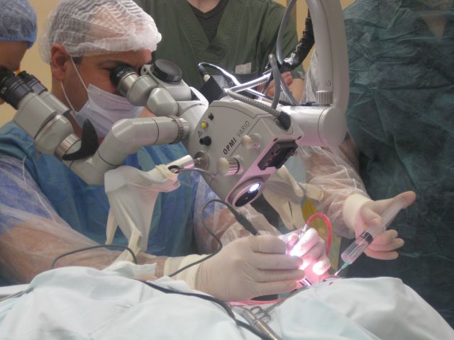 Аудиология